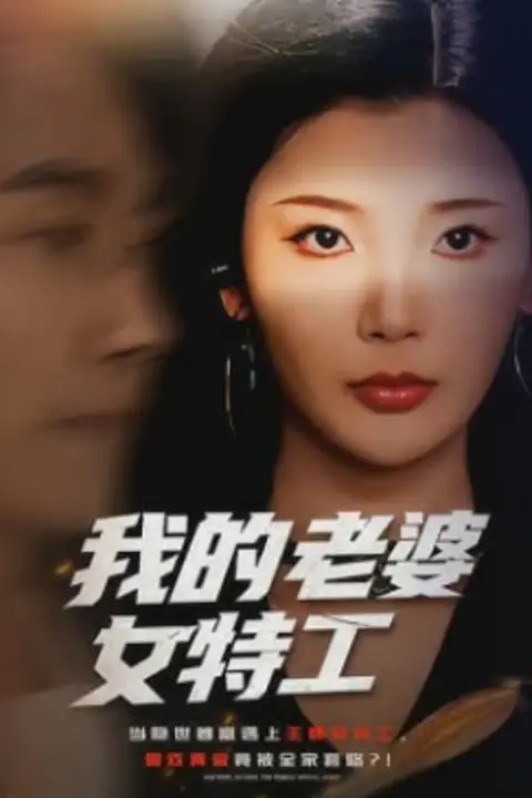 《我的老婆女特工》封面