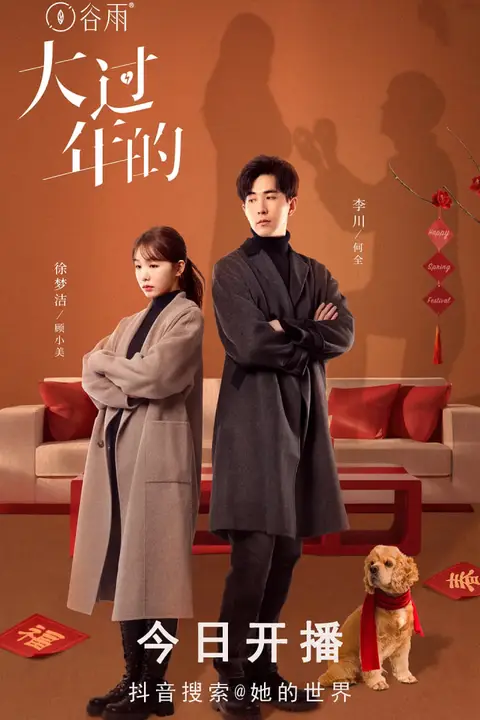 《大过年的》封面