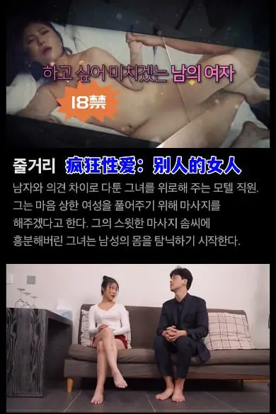 《疯狂性爱:别人的女人》封面