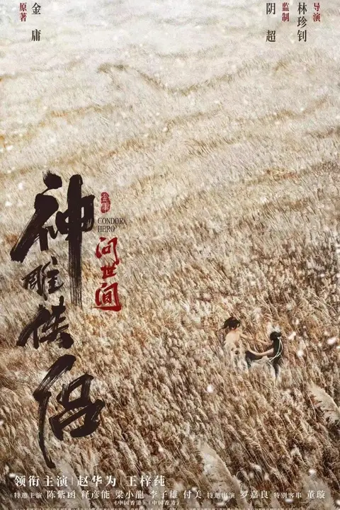 《神雕侠侣：问世间》封面