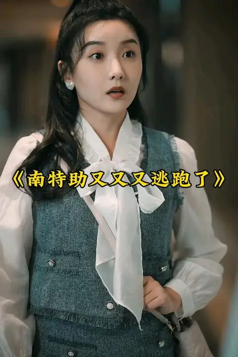 《南特助又又又逃跑了》封面