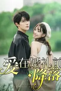 《爱在婚礼前降落》封面
