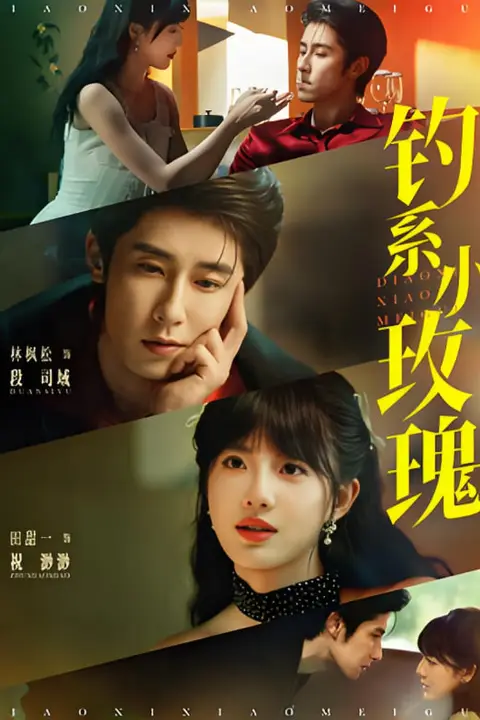 《钓系小玫瑰》封面