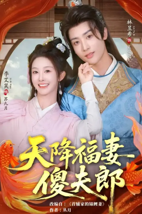 《天降福妻傻夫郎》封面