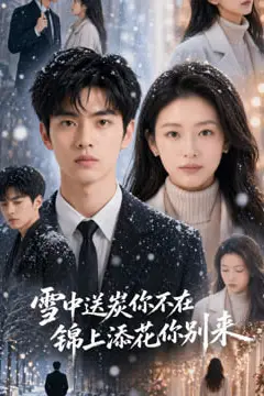 《雪中送炭你不在，锦上添花你别来》封面
