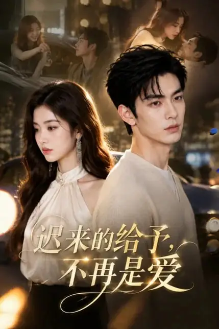 《迟来的给予,不再是爱》封面