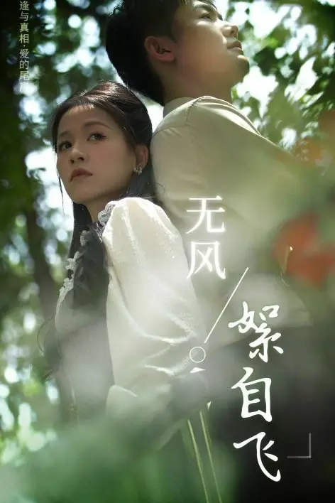 《无风絮自飞》封面