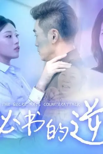 《秘书的逆袭》封面