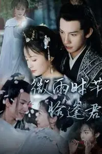 《微雨时节恰逢君》封面
