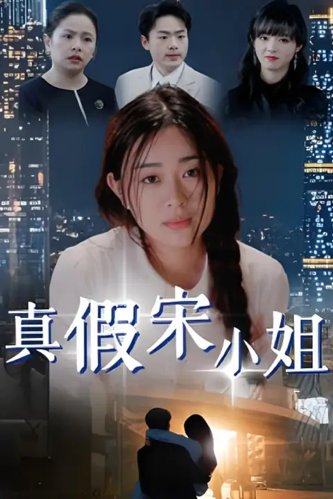 《真假宋小姐》封面