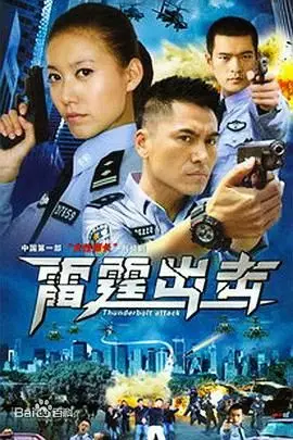 《要案组雷霆出击》封面