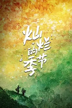 《灿烂的季节》封面