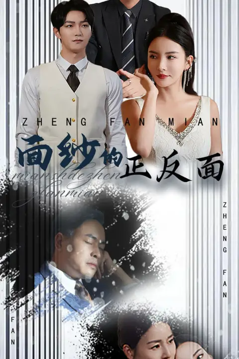 《面纱的正反面》封面