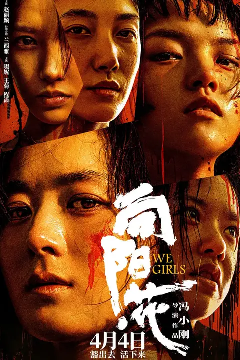 《向阳·花》封面