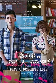 《赛小花的远大前程》封面