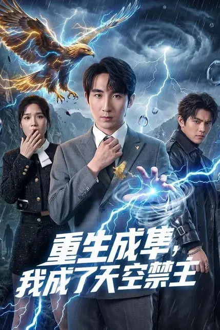 《重生成隼,我成了天空禁主》封面
