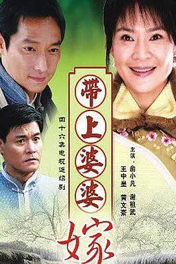《带着婆婆嫁》封面