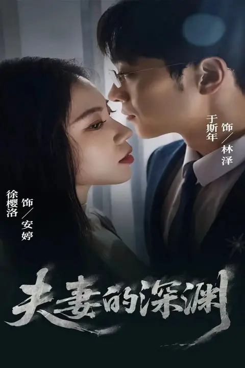 《夫妻的深渊》封面