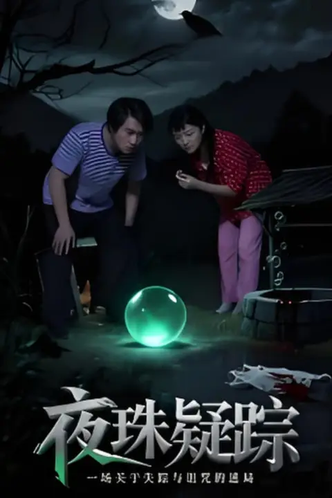 《夜珠疑踪》封面