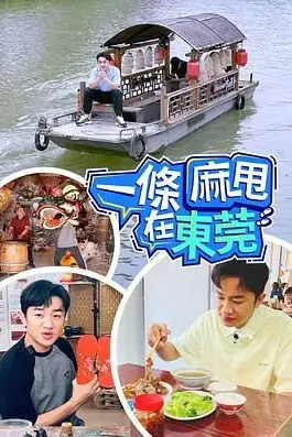 《一条麻甩在东莞》封面