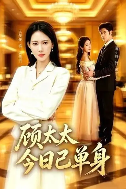 《顾太太今日已单身》封面