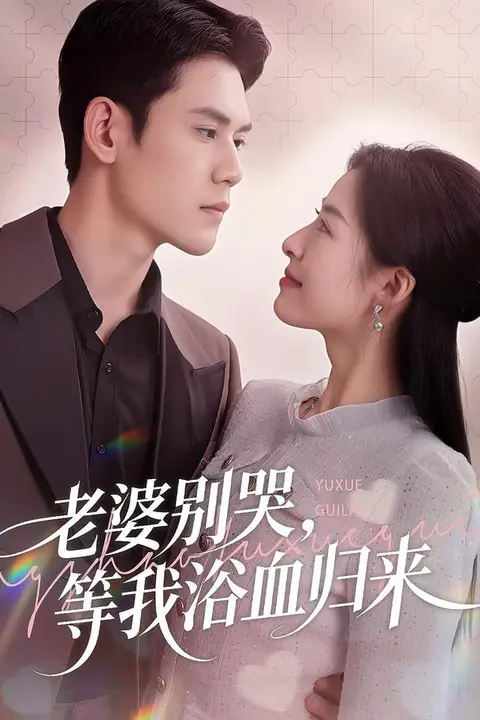 《老婆别哭,等我浴血归来》封面