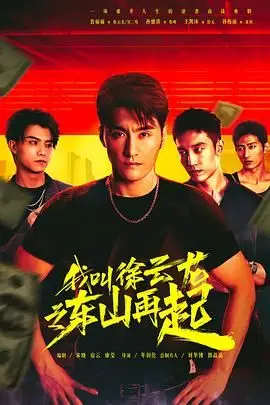 《我叫徐云龙之东山再起》封面