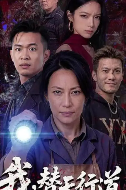 《我,替天行道》封面