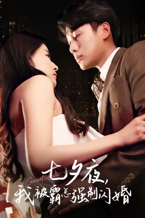 《七夕夜我被霸总强制闪婚》封面