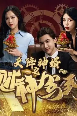 《天降神婿之财神驾到》封面