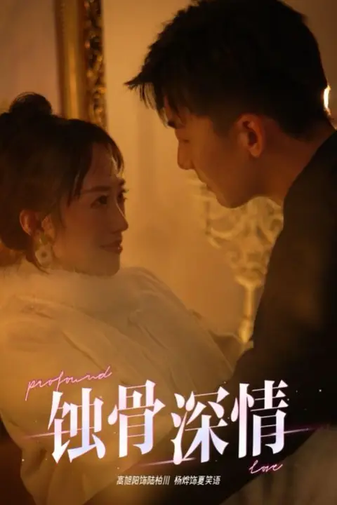《蚀骨深情》封面