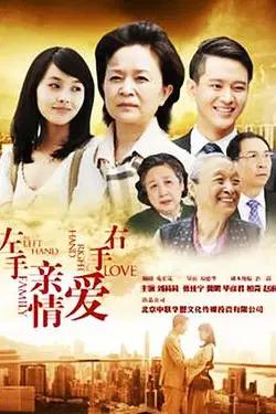 《左手亲情右手爱》封面