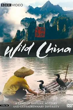 《美丽中国》封面