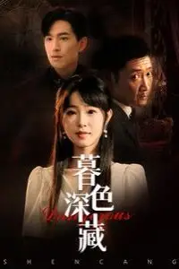 《暮色深藏》封面