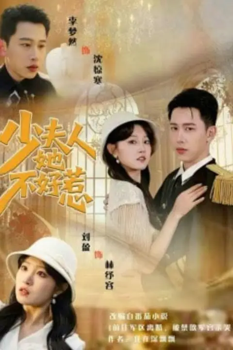 《少夫人她不好惹》封面