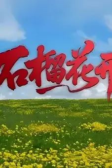 《石榴花开》封面