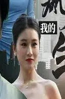 《我的巅峰人生》封面