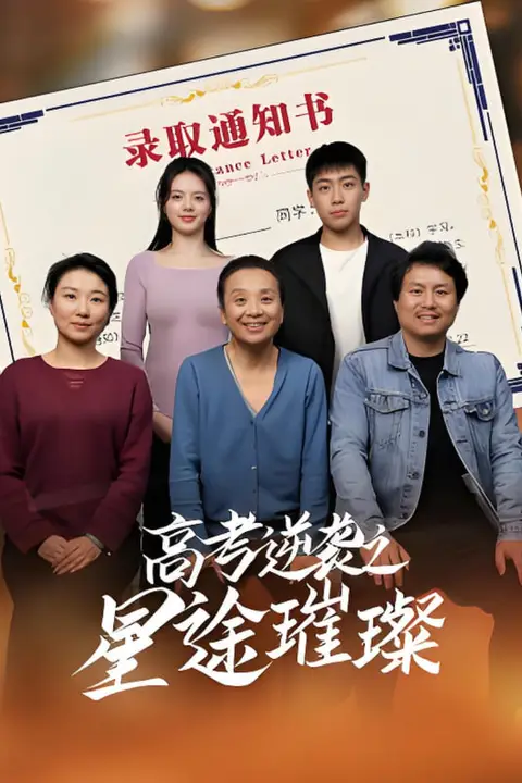 《高考逆袭之星途璀璨》封面