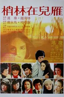 《雁儿在林梢》封面