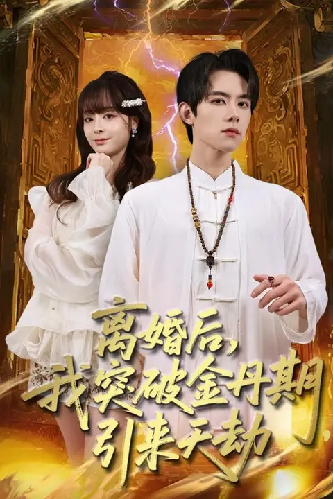 《离婚后,我突破金丹期,引来天劫》封面