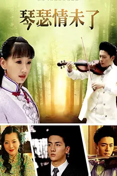 《琴瑟情未了》封面