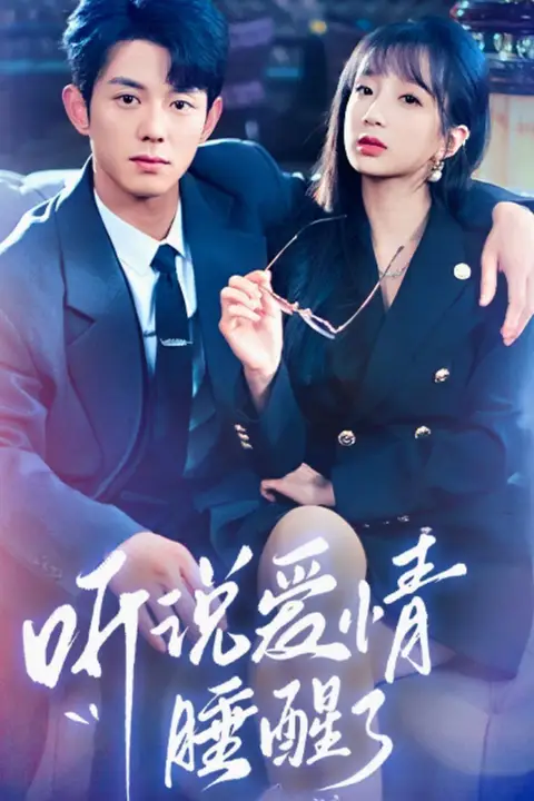 《听说爱情睡醒了》封面