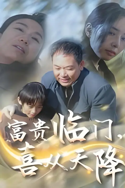 《富贵临门喜从天降》封面