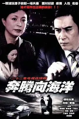 《奔腾向海洋》封面