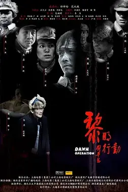 《黎明行动》封面