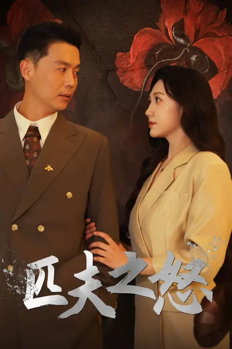 《匹夫之怒》封面