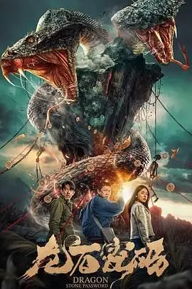 《龙石密码》封面