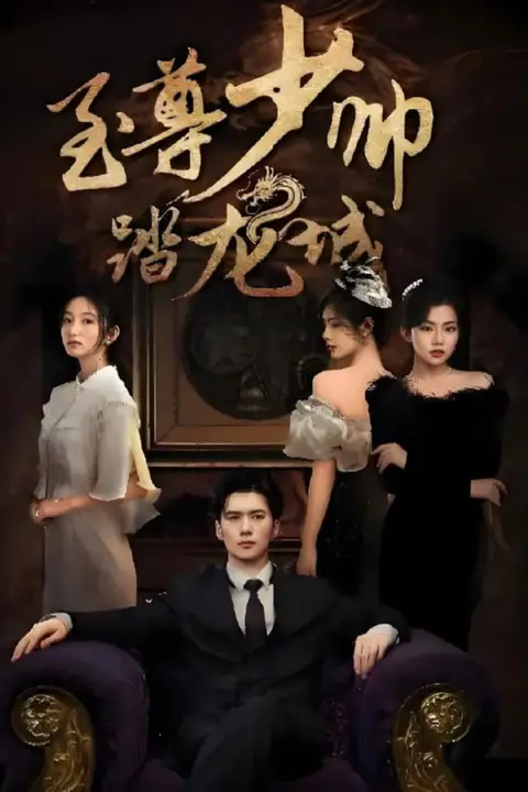 《至尊少帅踏龙城》封面