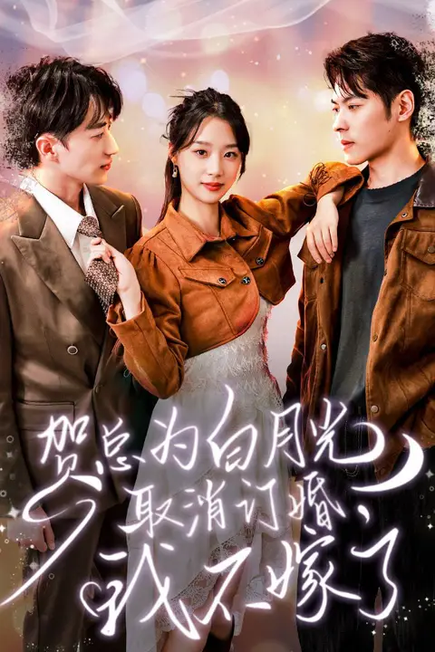 《贺总为白月光取消订婚,我不嫁了》封面