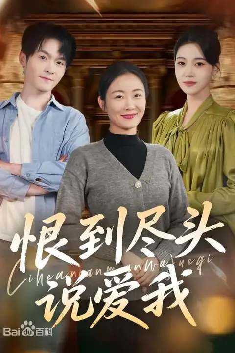 《恨到尽头说爱我》封面